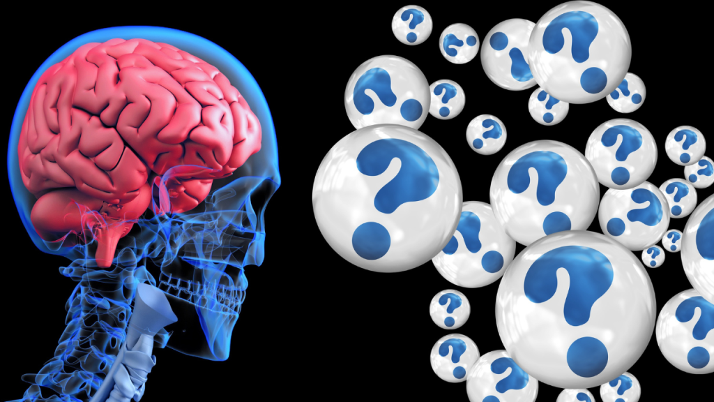 Medical illustration of a brain with floating question marks, representing how ADHD affects focus and decision-making in ADHD skincare routines.